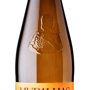 Muralhas de Monção